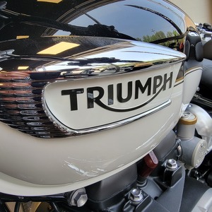Team Page: TRIUMPH IDAHO FALLS WILD RIDERS